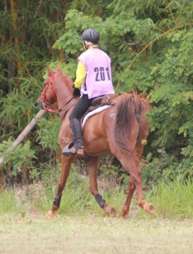 Evelyne sur Ribier Endurance