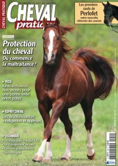 Cliquez sur l‘image pour aller sur le site de Cheval Pratique