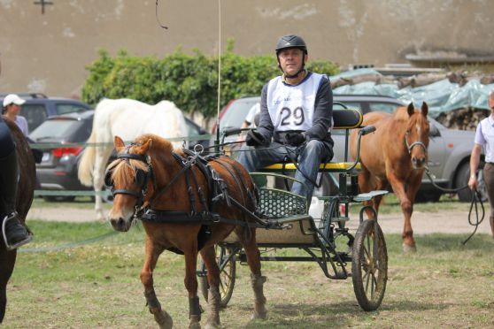 Jean Pierre Machat et son poney Quinoa (Shetland par Arabe) 2ème sur l‘épreuve de 20 km attelée.